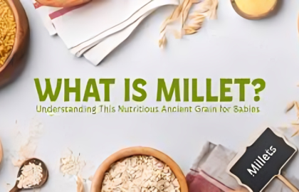 🍲 5 Easy Recipes with Organic Millets